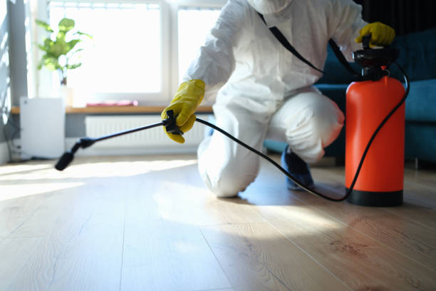 Trusted Sewage Cleanup service in Deltona, FL - Four Month Blood Cleanse
